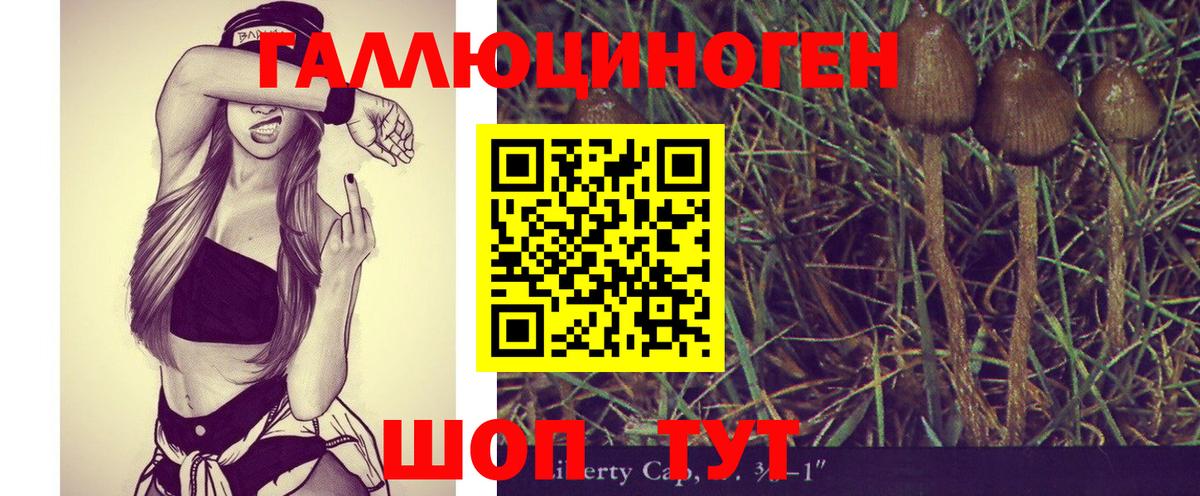 где продают   Галлюциногенные грибы GOLDEN TEACHER  Вход с VPN  Ахтубинск 
