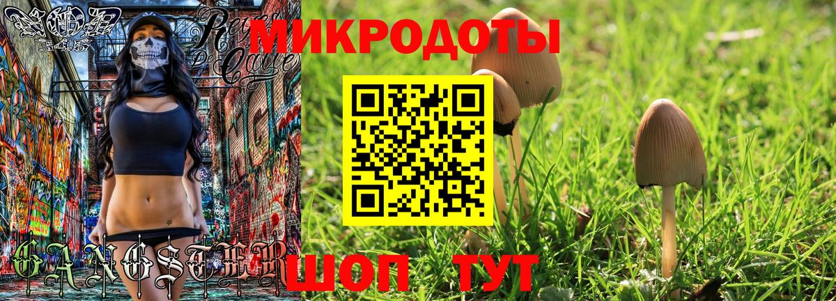 Псилоцибиновые грибы Psilocybe Ахтубинск